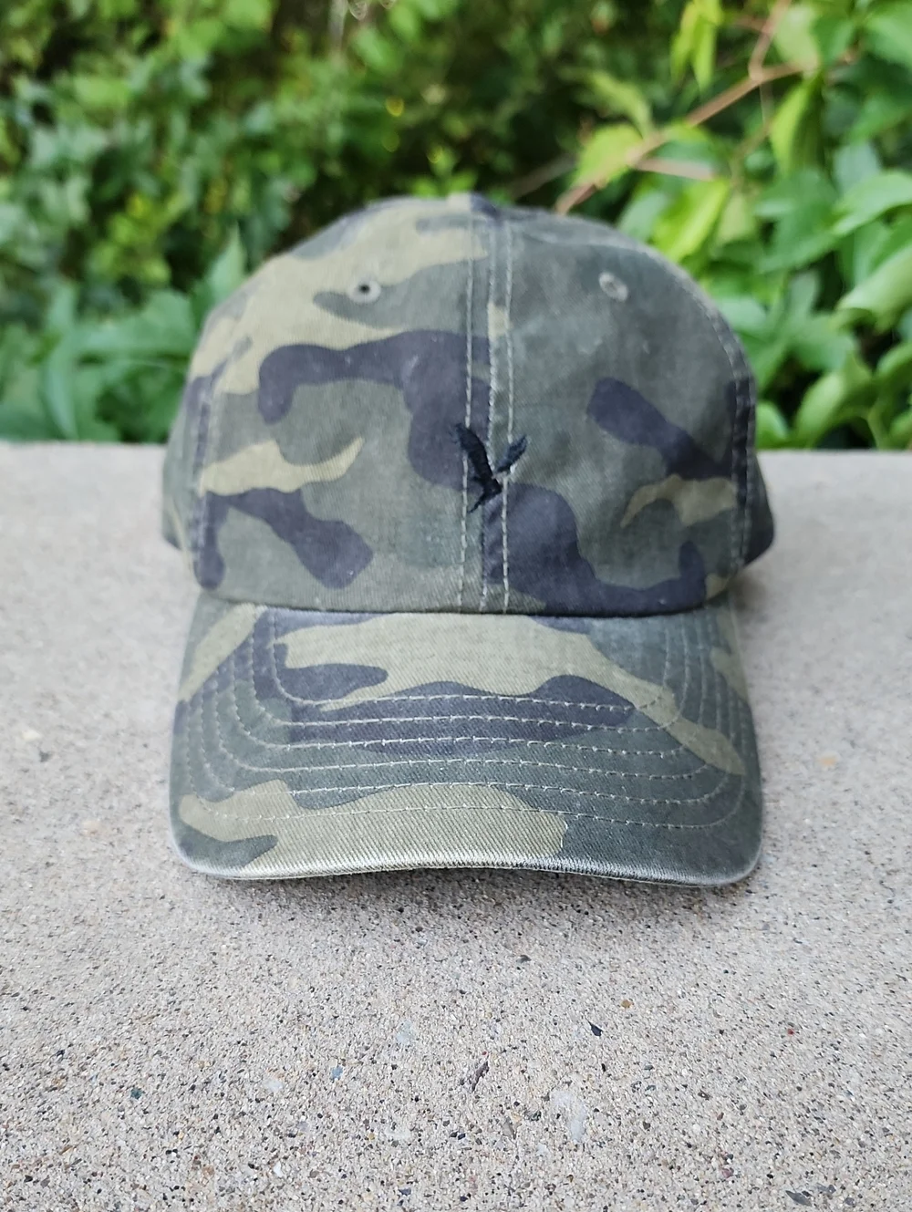 American Eagle Camo Hat